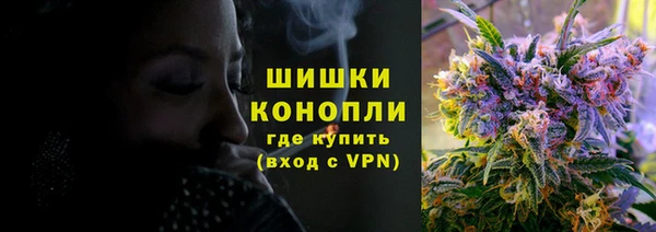spice Горняк