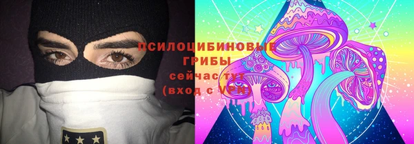 гашик Горно-Алтайск