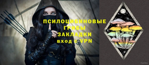 гашик Горно-Алтайск