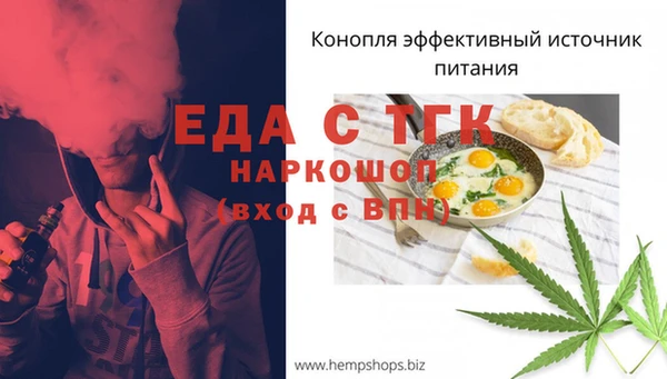 spice Горняк