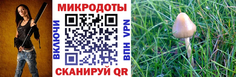 Псилоцибиновые грибы ЛСД  kraken зеркало  Ефремов  купить  сайты 