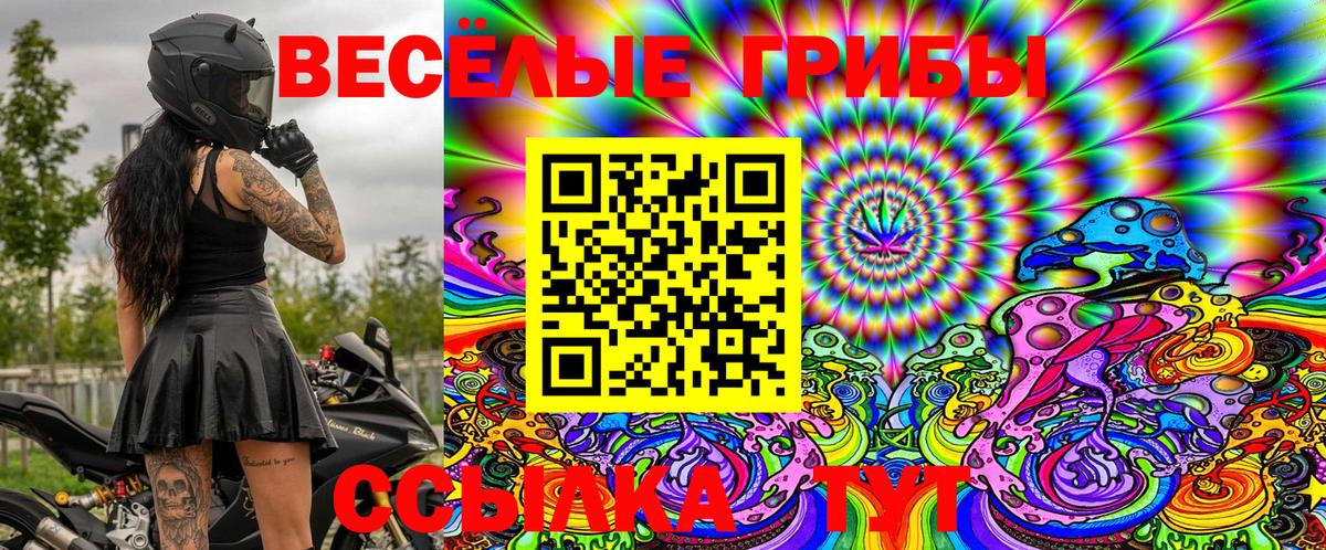 Галлюциногенные грибы MAGIC MUSHROOMS  Вход с VPN  Ефремов 