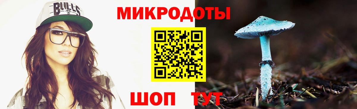 Псилоцибиновые грибы GOLDEN TEACHER Ефремов