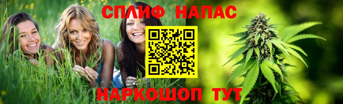 Бошки Шишки конопля Ефремов