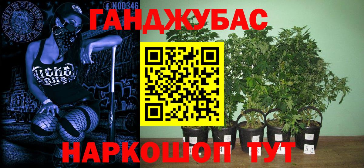 Конопля тримм  Вход с VPN  Ефремов  Марихуана AK-47  Марихуана Bruce Banner  Марихуана White Widow 